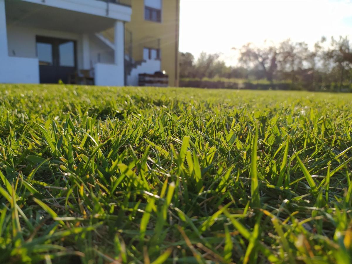 Natura E Mente Camere E Relax Vasto Kültér fotó