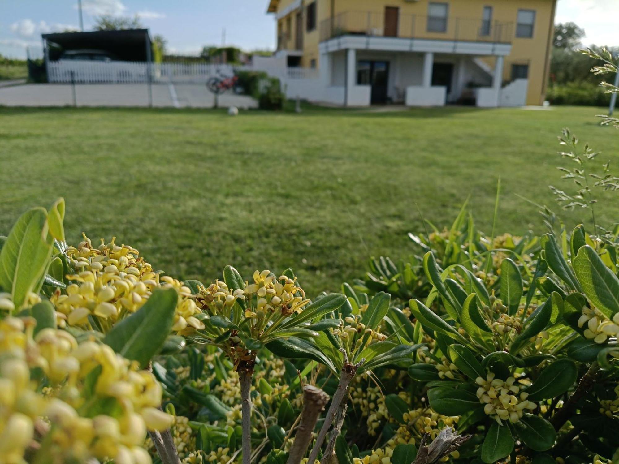 Natura E Mente Camere E Relax Vasto Kültér fotó